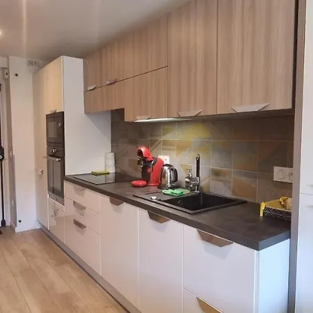 Apartment Elegant Et Moderne, Au Pied Du Mont-blanc